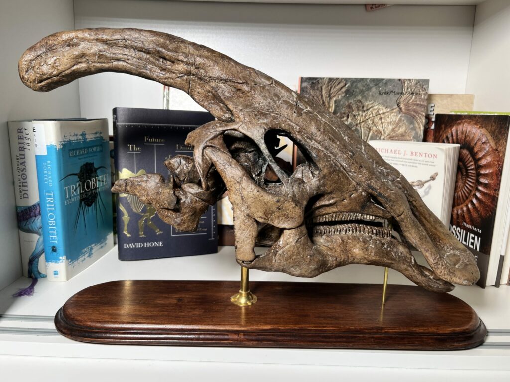 Photo 24.02.23, 08 17 06