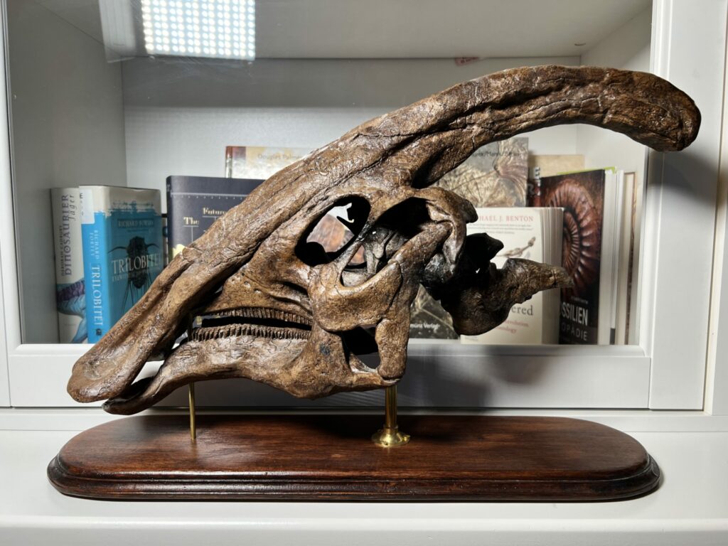 Photo 24.02.23, 08 17 21