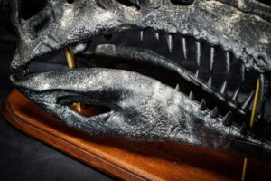 Spino-04.23_6