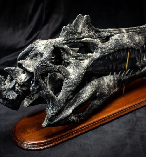 Spino-04.23_5