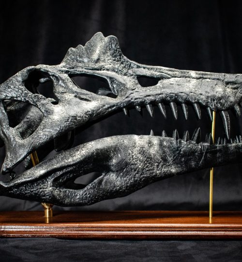 Spino-04.23_8