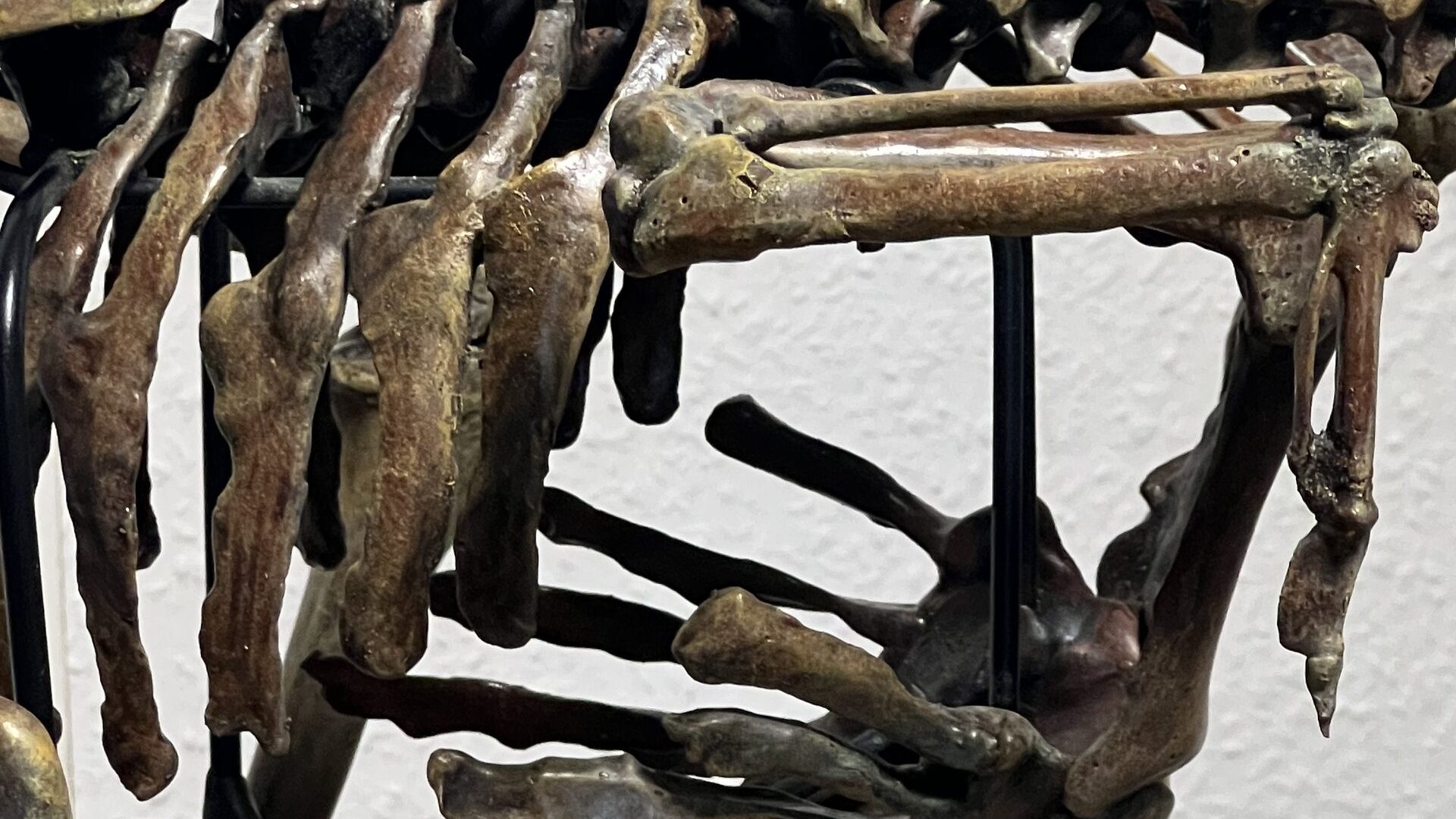 dodo_detail_03jpg