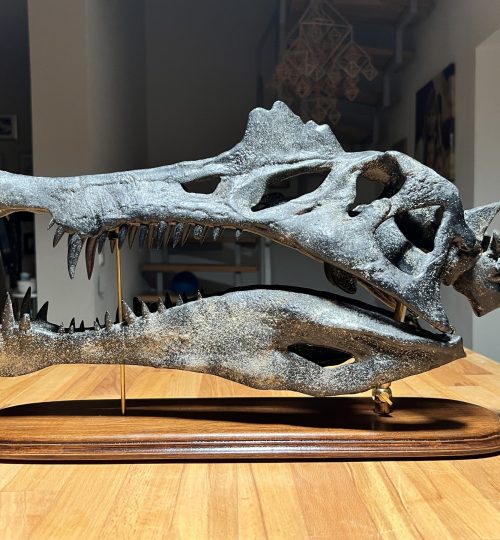 spino02