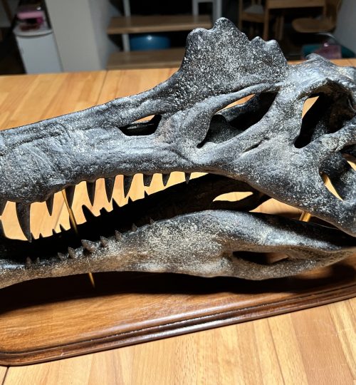 spino04
